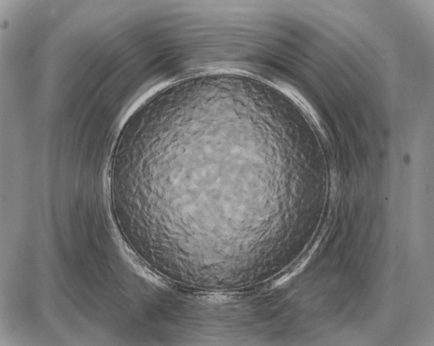 X0000087700814200705181818