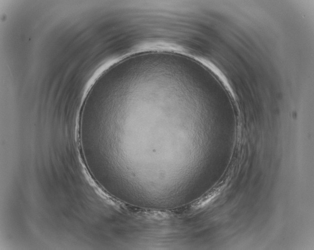 X0000087700815200705181818