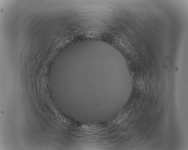X0000087700817200705181817
