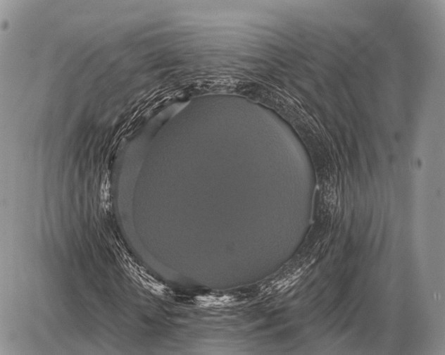 X0000087700818200705181817