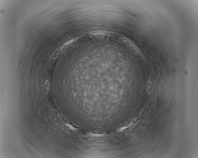 X0000087700821200705181817