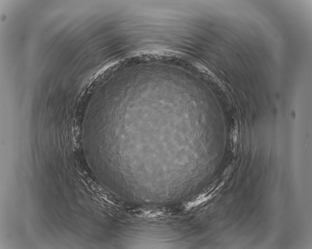 X0000087700822200705181817
