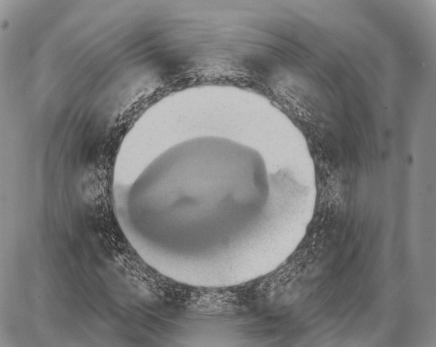 X0000087700824200705181817