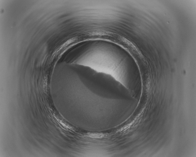 X0000087700825200705181817