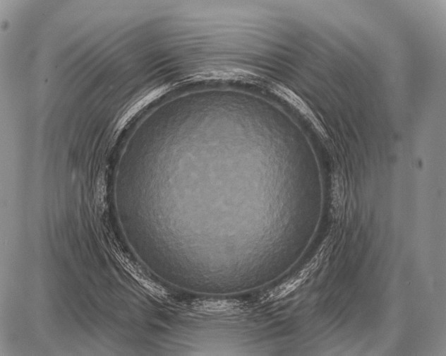 X0000087700826200705181817