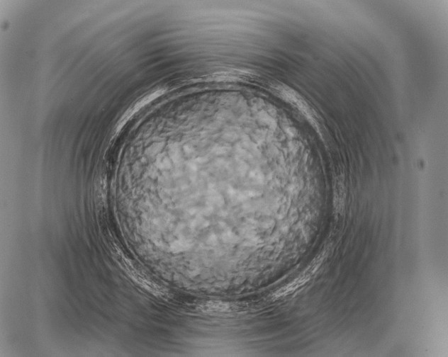 X0000087700827200705181817