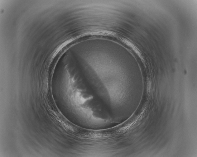 X0000087700829200705181817