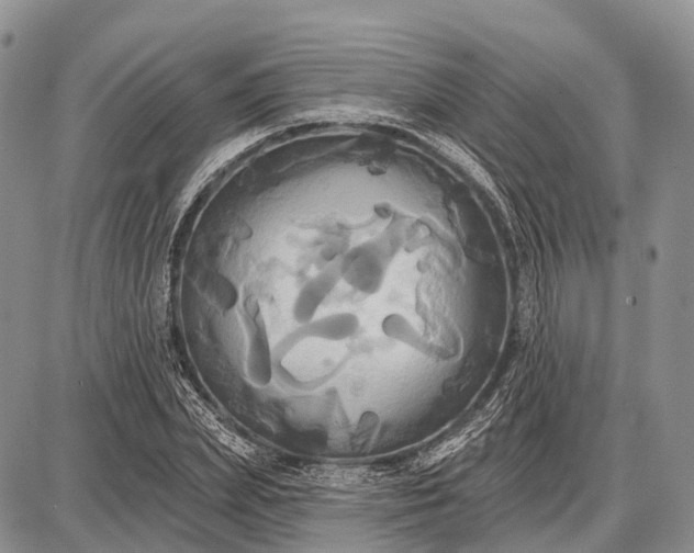 X0000087700831200705181817