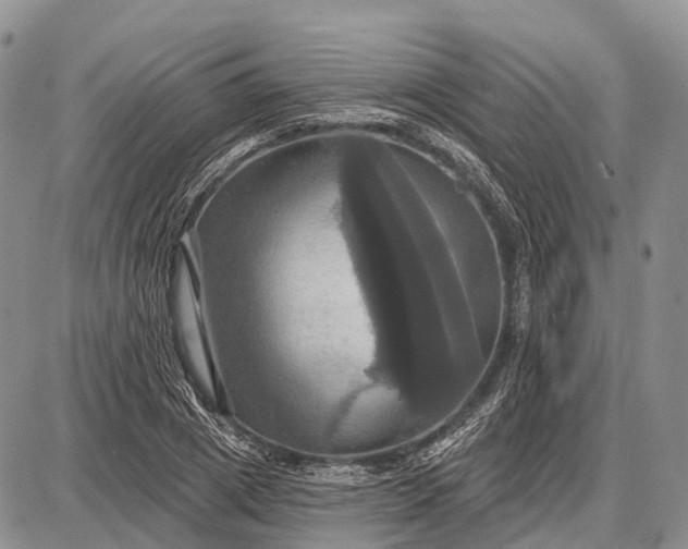X0000087700833200705181817