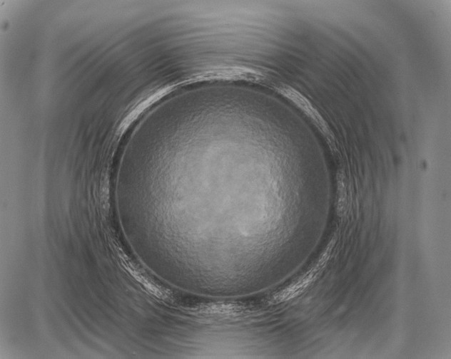 X0000087700834200705181817