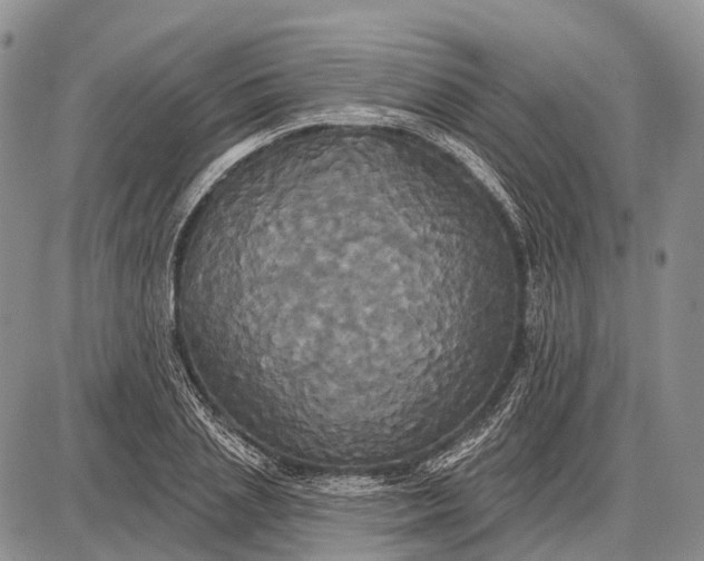 X0000087700837200705181817