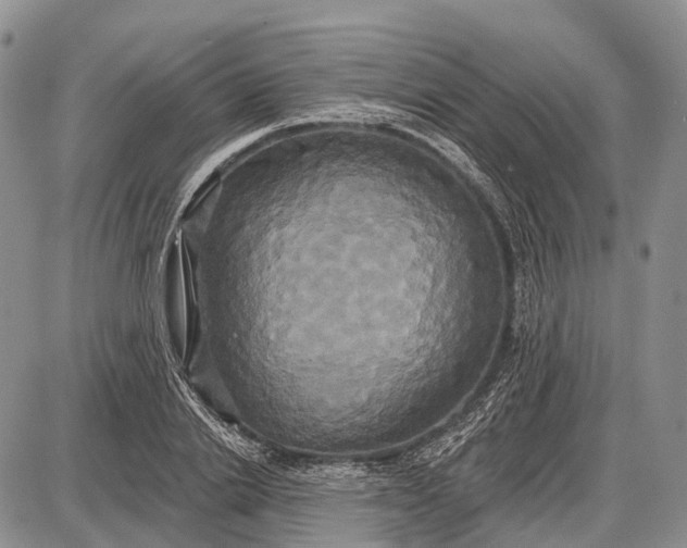 X0000087700838200705181817