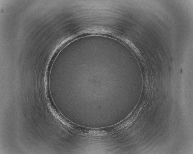 X0000087700840200705181817
