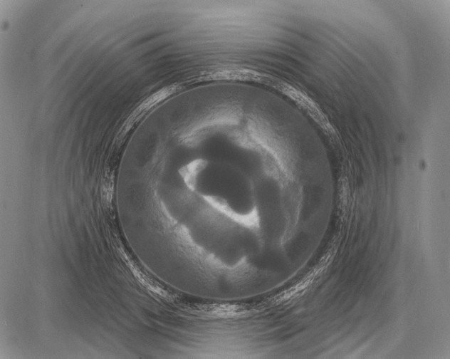 X0000087700841200705181817