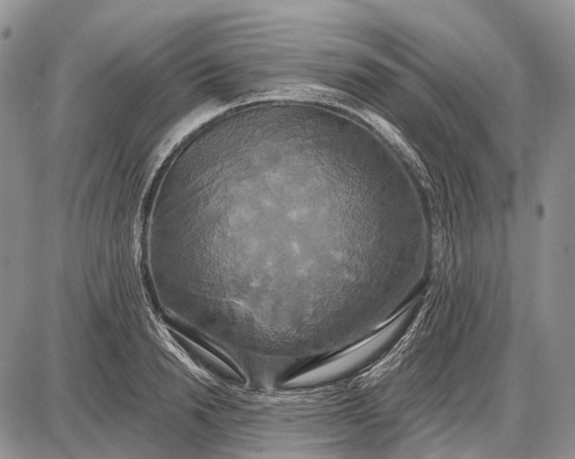 X0000087700846200705181818