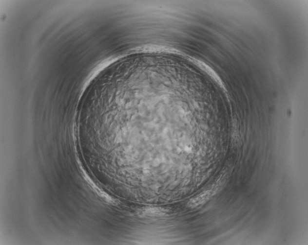 X0000087700847200705181818