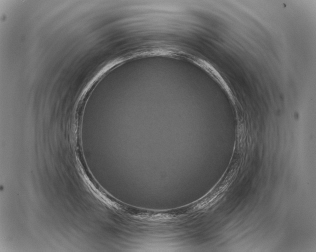 X0000087700851200705181818