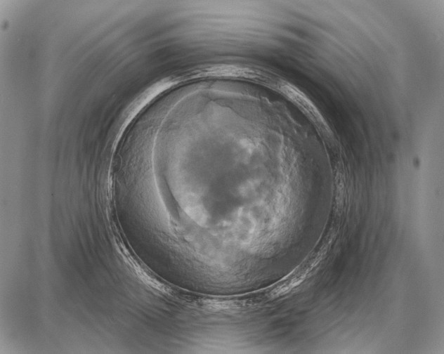 X0000087700852200705181818
