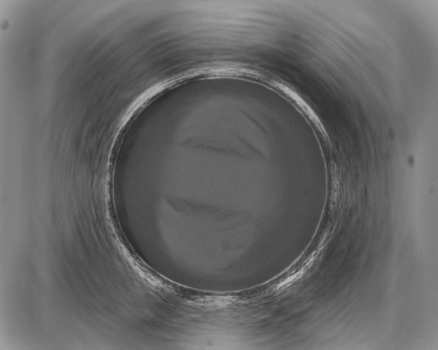 X0000087700853200705181818