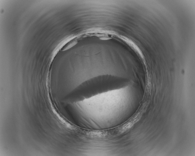 X0000087700855200705181818