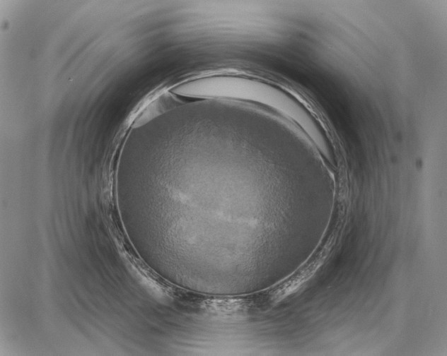 X0000087700858200705181818