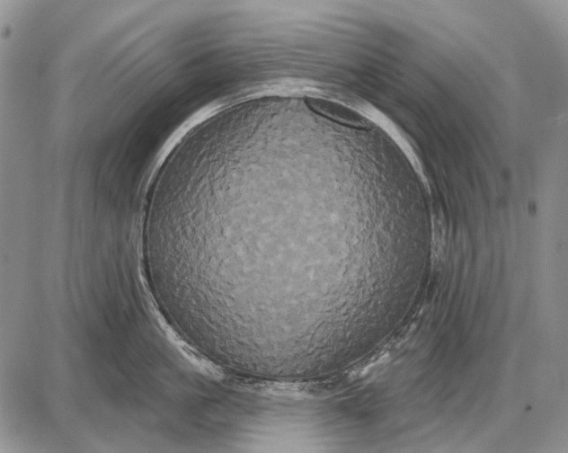 X0000087700861200705181818