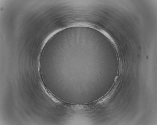 X0000087700862200705181818