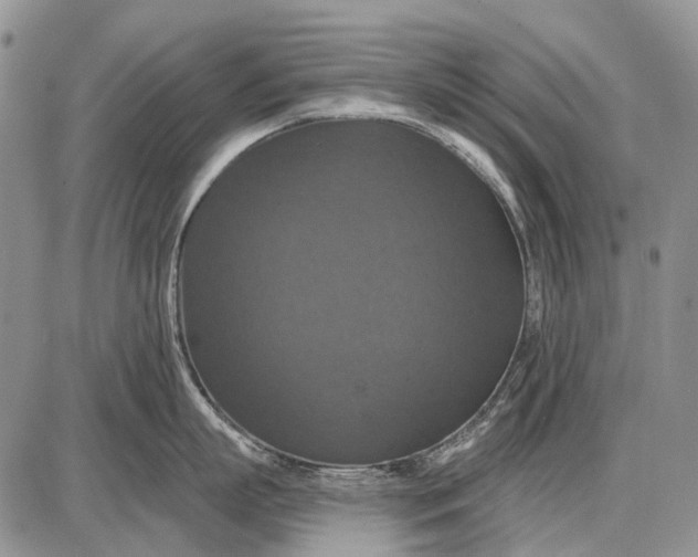 X0000087700863200705181818