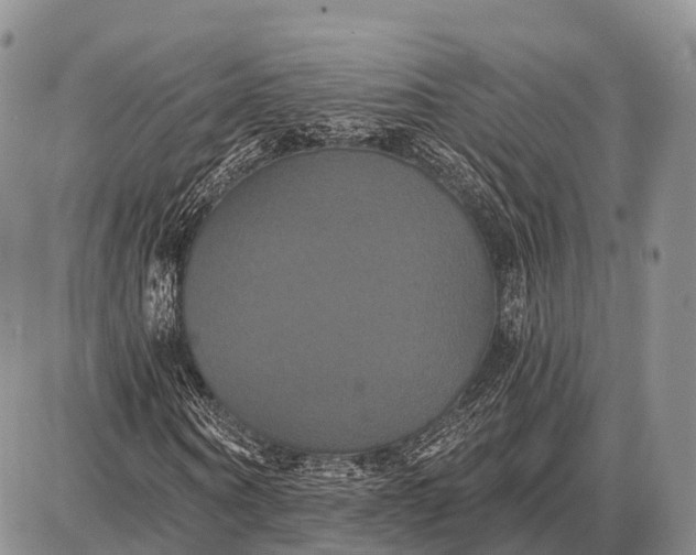 X0000087700866200705181817