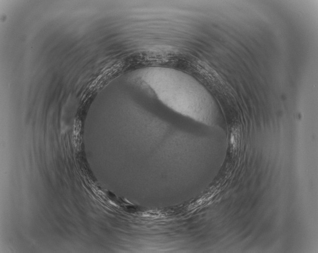 X0000087700867200705181817