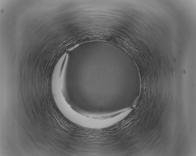 X0000087700868200705181817