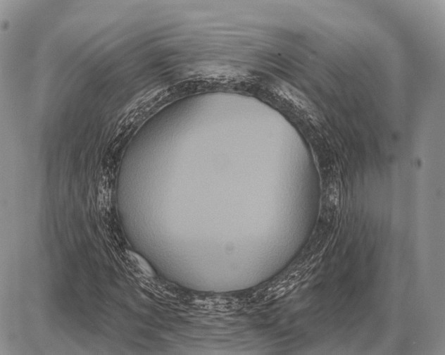 X0000087700869200705181817