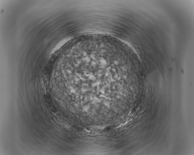 X0000087700871200705181817
