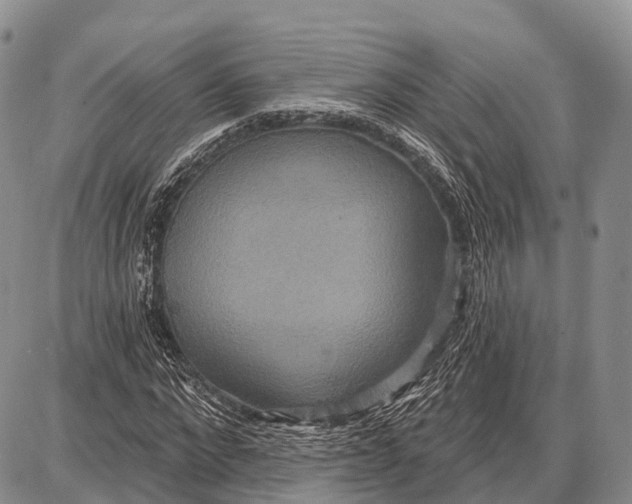 X0000087700872200705181817