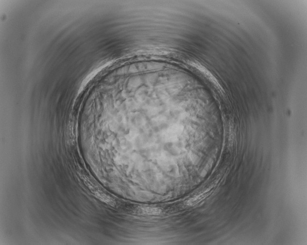X0000087700878200705181817