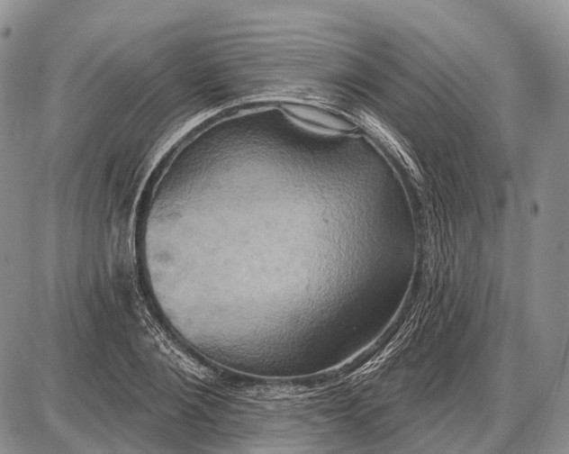 X0000087700884200705181817