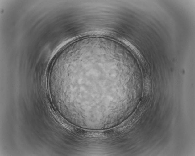 X0000087700886200705181817