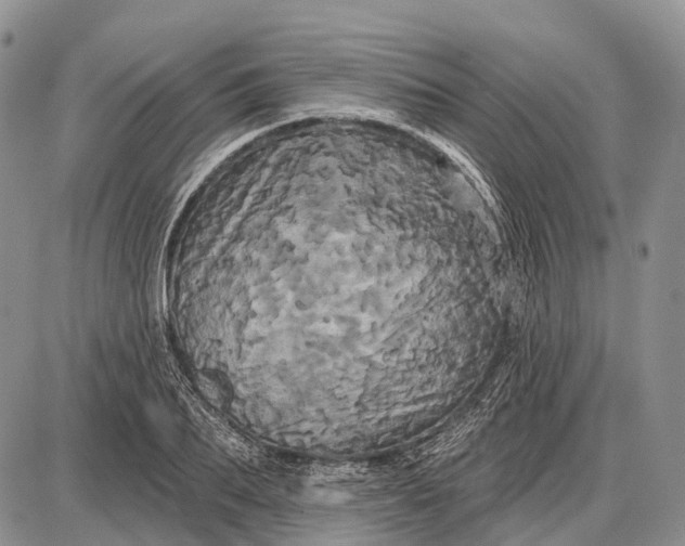 X0000087700887200705181817