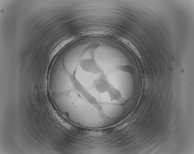 X0000087700890200705181817