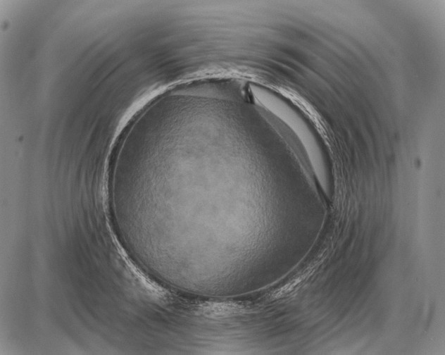 X0000087700894200705181817