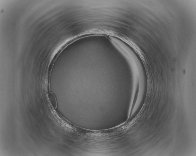 X0000087700896200705181817