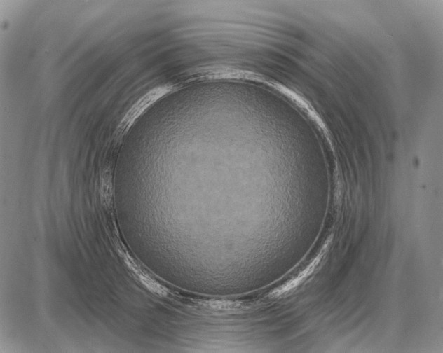 X0000087700897200705181817