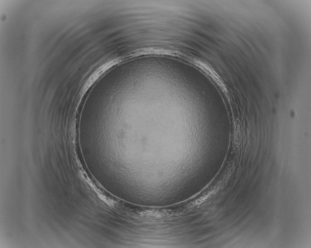 X0000087700898200705181817