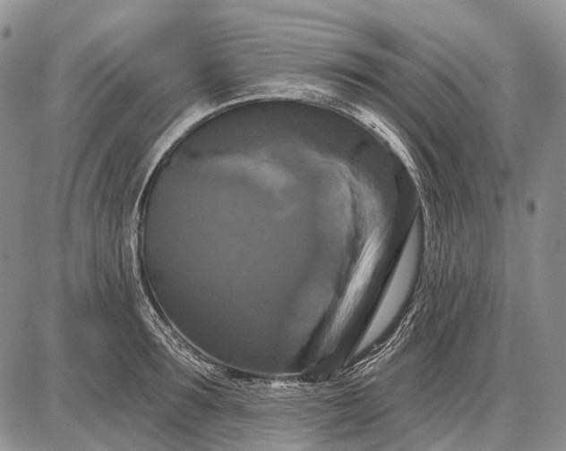 X0000087700899200705181817