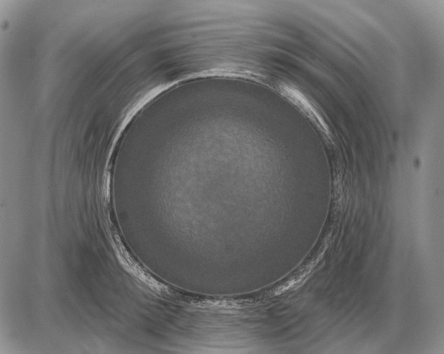X0000087700900200705181817