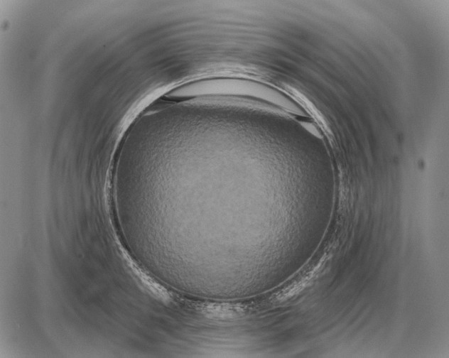 X0000087700901200705181816