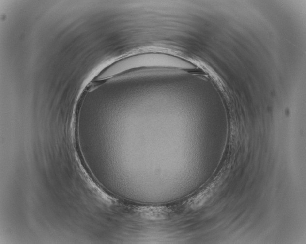 X0000087700902200705181816
