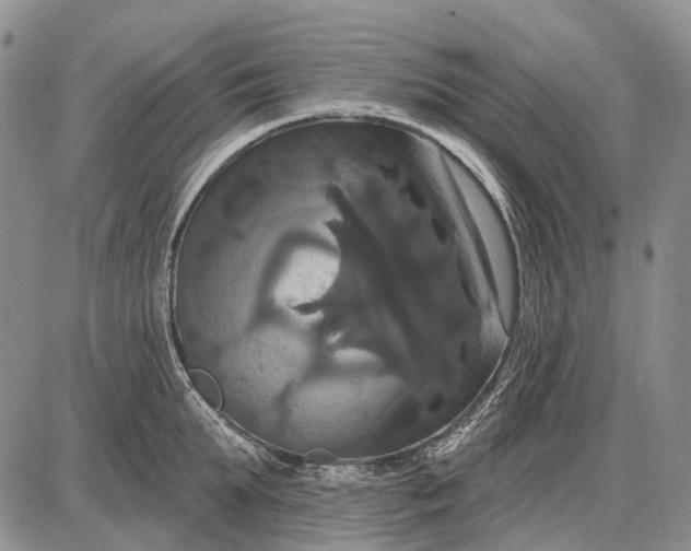 X0000087700903200705181816