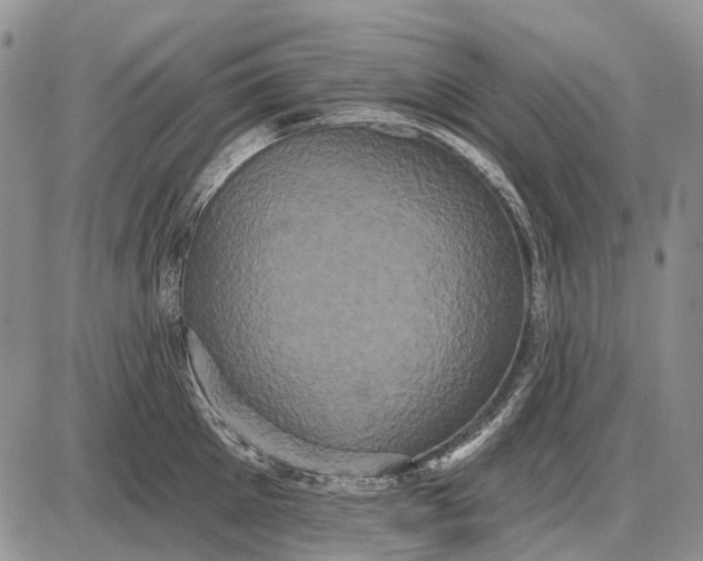 X0000087700905200705181816