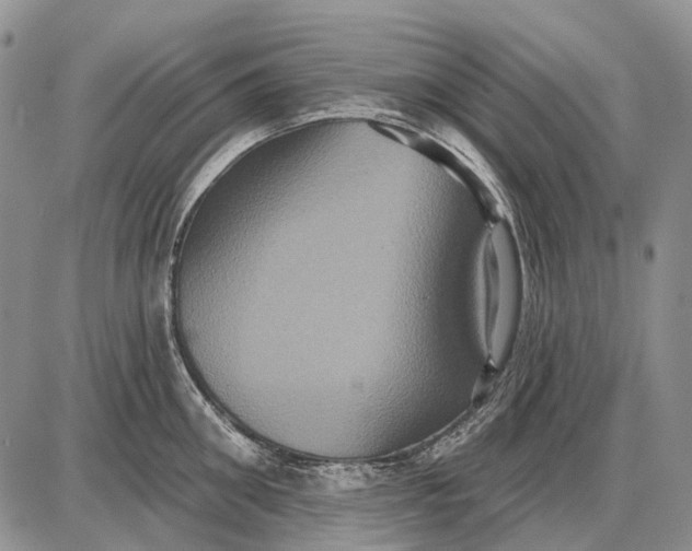 X0000087700906200705181816